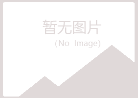 平川区搁浅会计有限公司